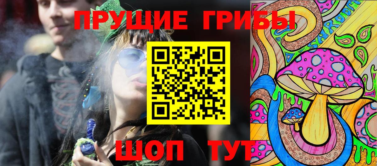 Псилоцибиновые грибы Psilocybine cubensis Кашира