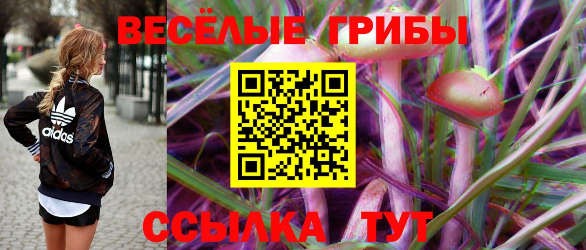 Кашира  Галлюциногенные грибы Cubensis  где продают   Вход с VPN 